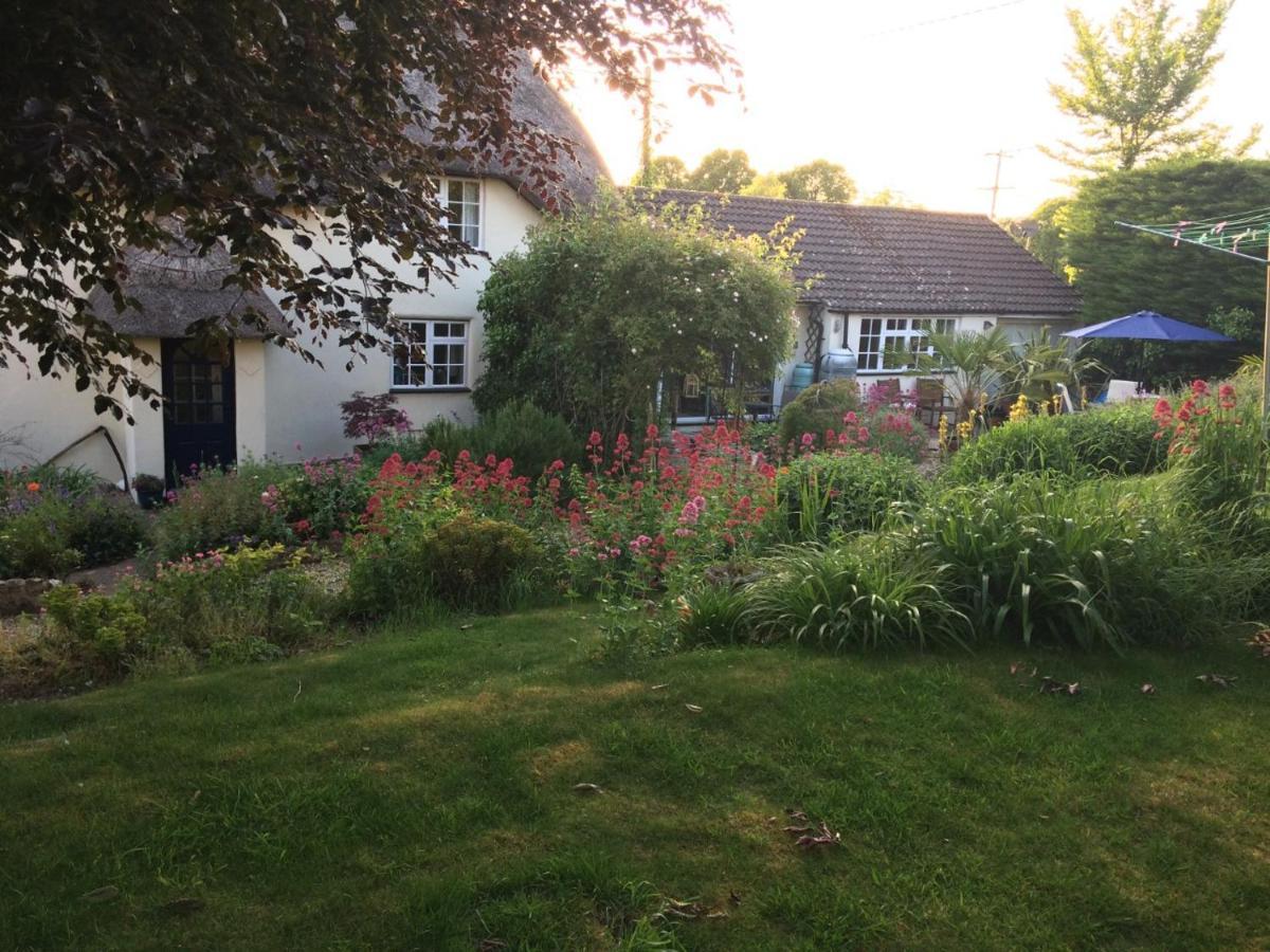 Guest Suite At 31 Little England Milborne Saint Andrew Exterior photo